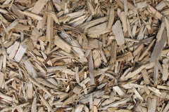 biomass boilers Pinstones